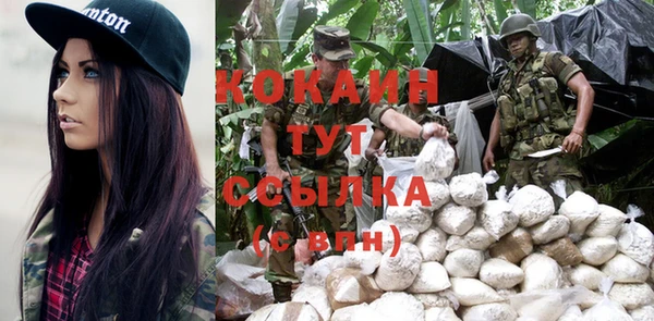 тгк Богородицк