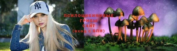 тгк Богородицк