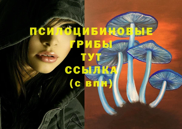 марки nbome Богородск