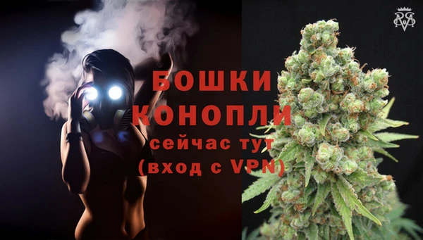 тгк Богородицк