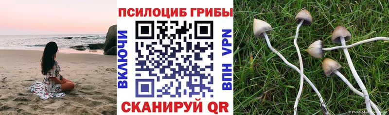 даркнет сайт  Костерёво  мега зеркало  Псилоцибиновые грибы прущие грибы 